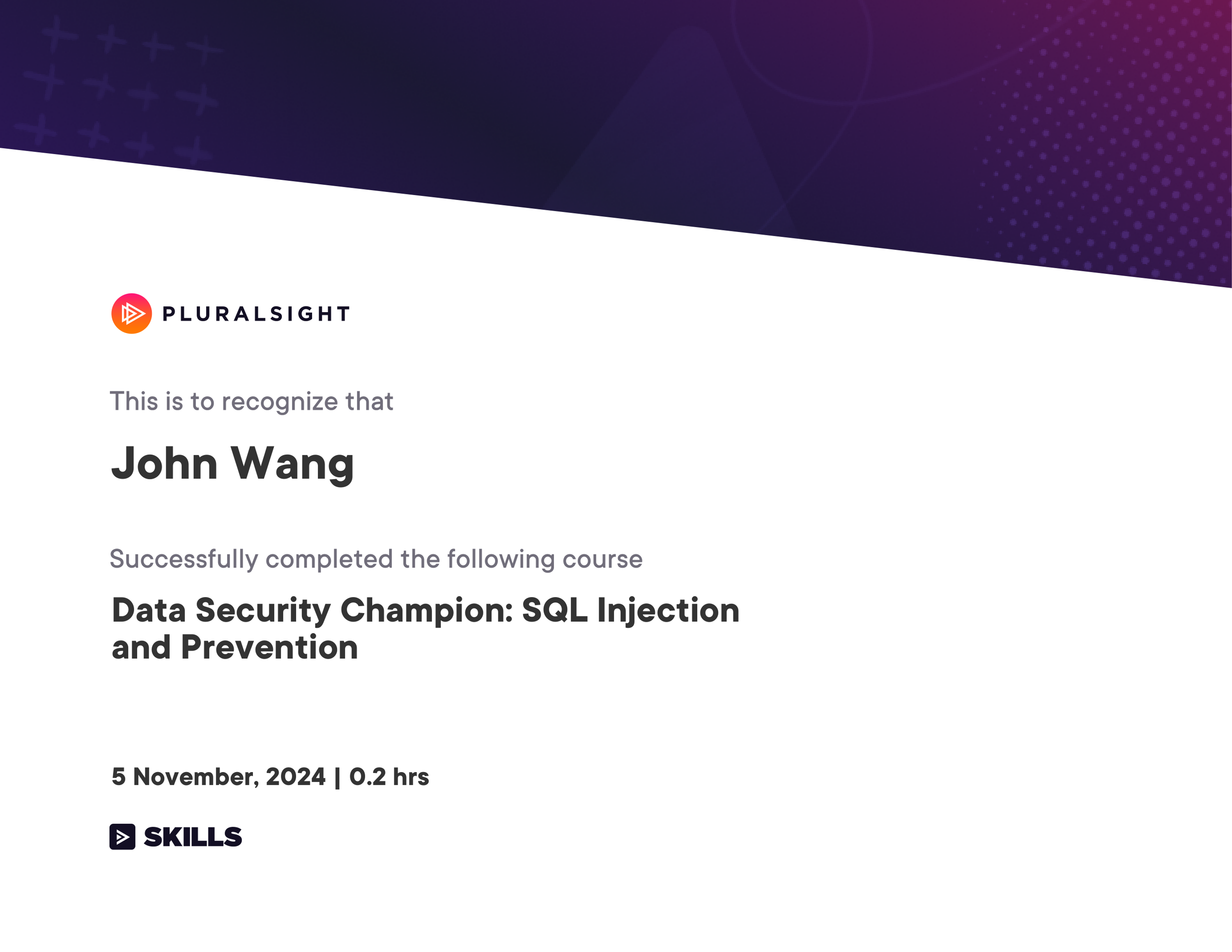 John's Data Security Champion: SQL Injection and Prevention from Pluralsight by Laurentiu Raducu