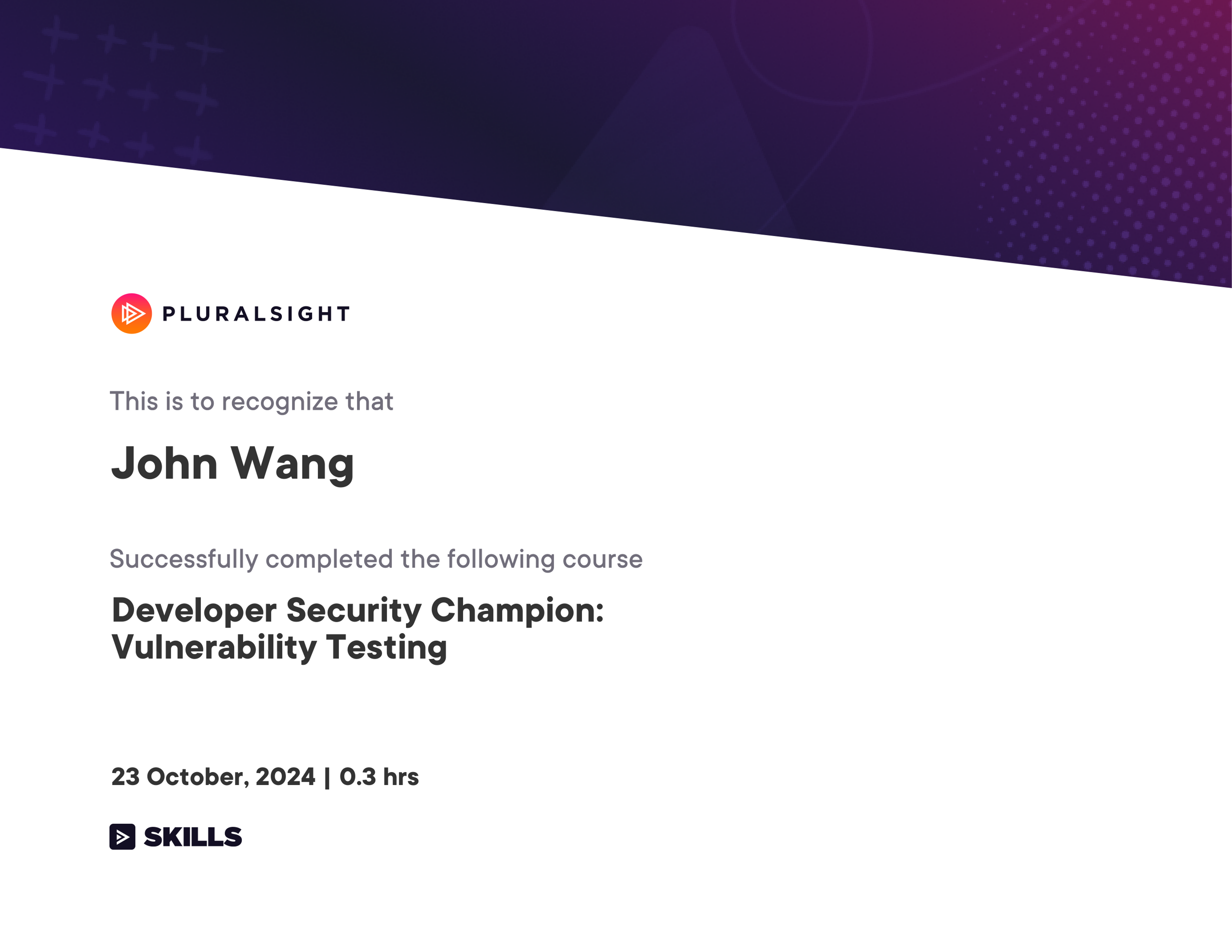 John's Developer Security Champion: Vulnerability Testing from Pluralsight by Christian Wenz